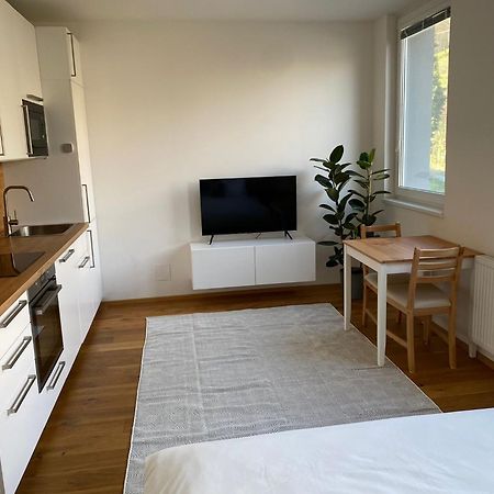 Vila Vinice Praga Esterno foto